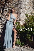 202310 SOANI